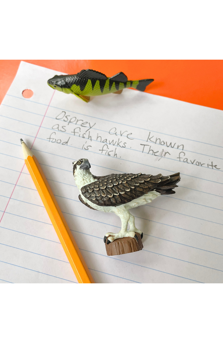 Safari Ltd. Osprey Kids Toy Figure, Alternate, color, NO COLOR