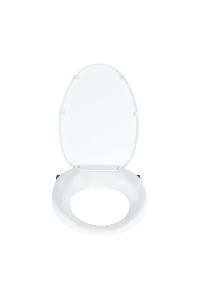 Oasis Non-Electric Bidet Toilet Seat, Main, color, Round Platinum