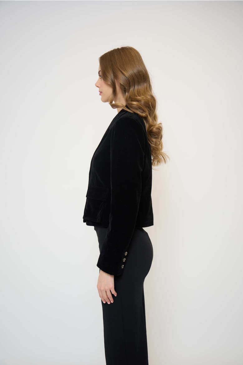 Ember Velvet Boxy Blazer, Alternate, color, BLACK