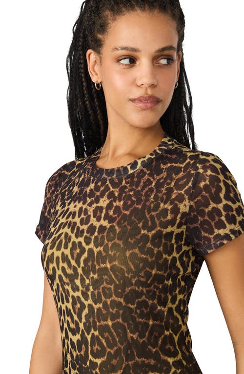 Steve Madden Hailee Print Dress In Animal Print