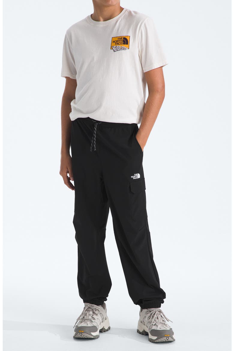 Kids' Zawn Cargo Pants, Alternate, color, TNF BLACK