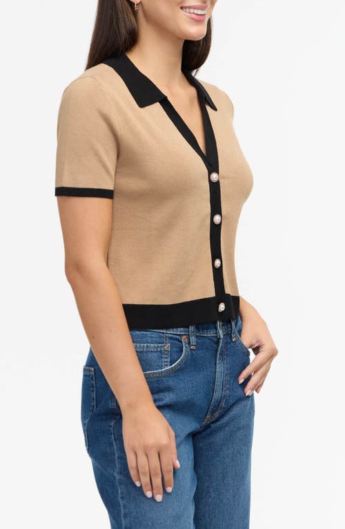 Ellen Tracy Tipped Polo Sweater In Camel