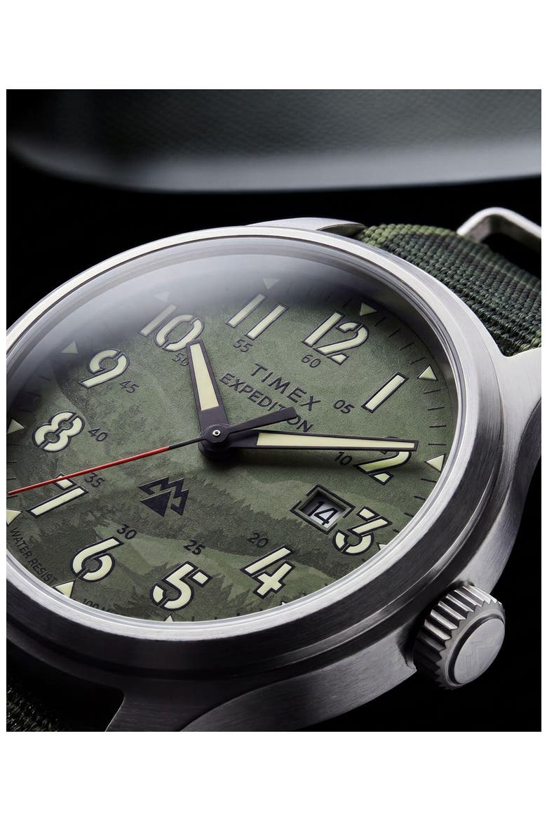 Expedition Sierra Fabric Strap Watch, Alternate, color, GREEN