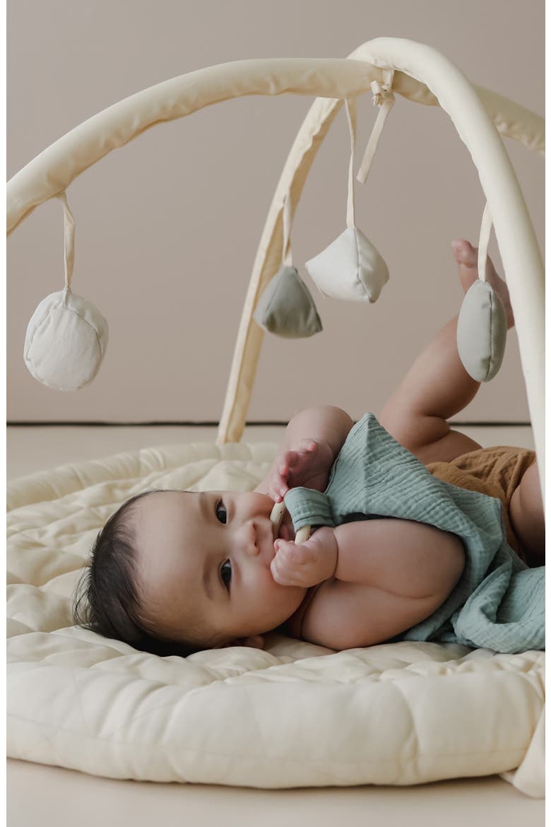 Play Gym, Alternate, color, MULTICOLOR