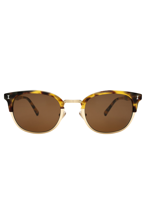 Illesteva Stockholm Sunglasses in Tortoise /Gold 
