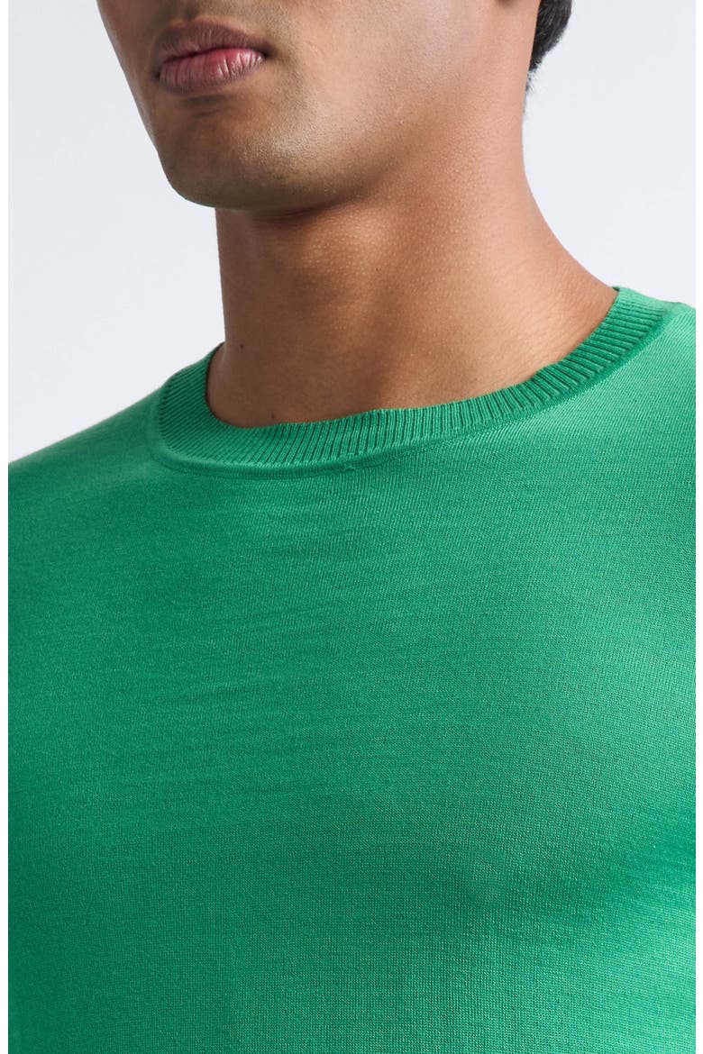 Wish Merino Wool Sweater, Alternate, color, LIGHT GREEN