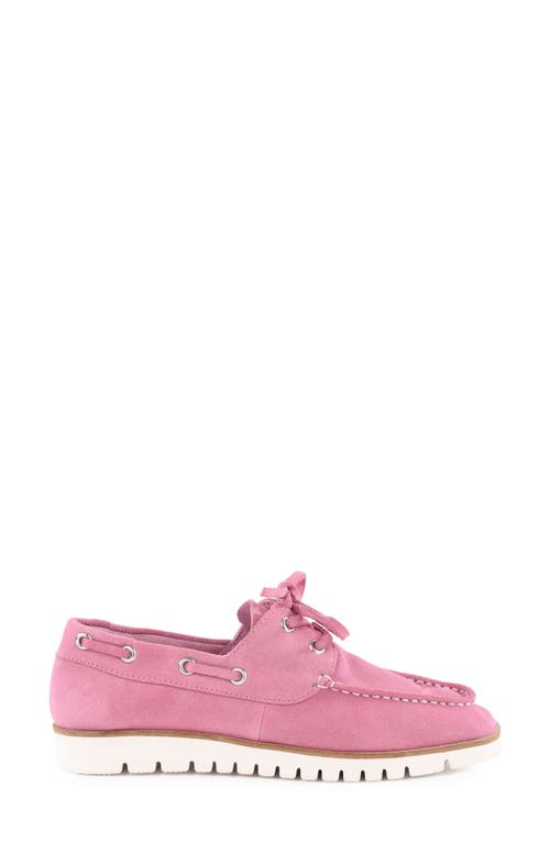 Seychelles Kipper Boat Shoe In Mauve
