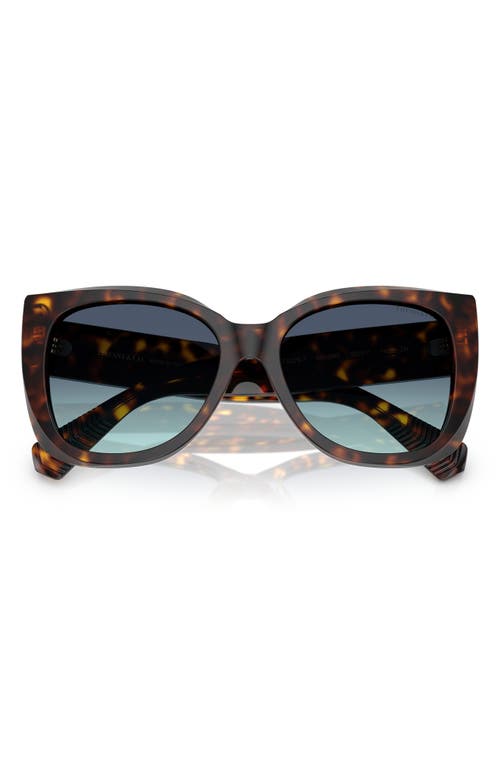 Tiffany & Co . 55mm Gradient Square Sunglasses In Havana