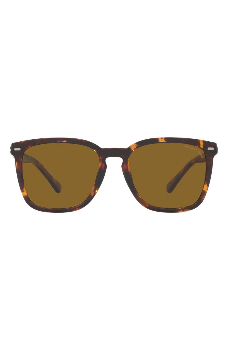 COACH 56mm Polarized Square Sunglasses, Main, color, 
