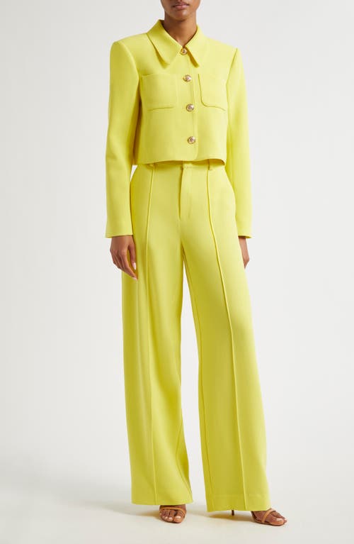 Shop Cinq À Sept Amanda Wide Leg Pants In Starfruit