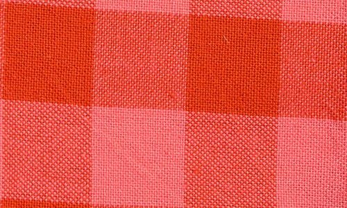 Heather Taylor Home Gingham Guava Set Of 4 Napkins