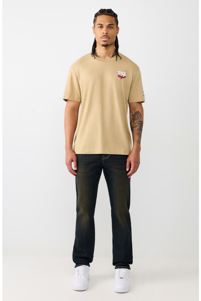 Horseshoe Balloon Graphic T-Shirt, Alternate, color, TRAVERTINE