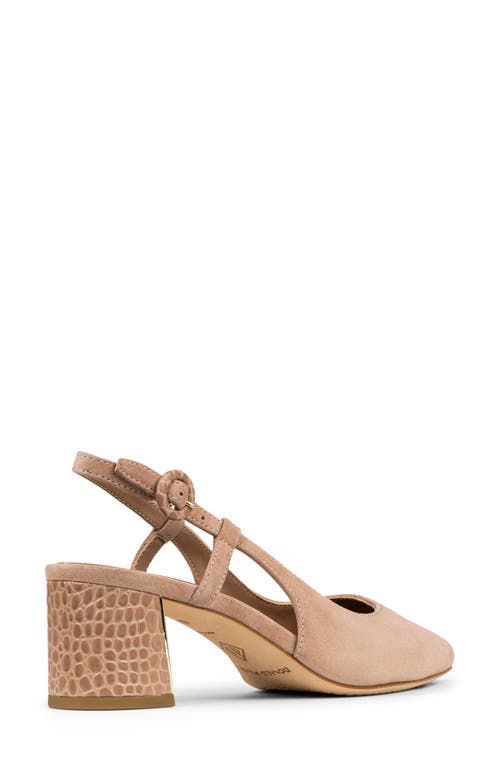 Donald Pliner Sodashi Snakeskin Embossed Pointed Toe Slingback Pump In Multi