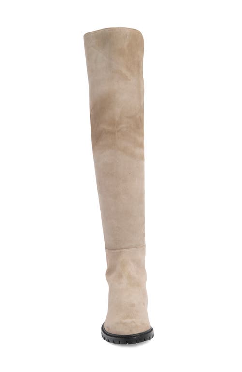 Stuart Weitzman City Ii Knee High Boot In Topo