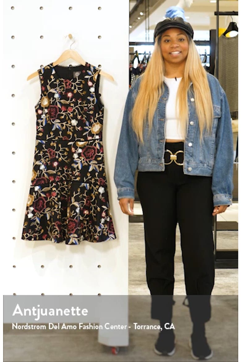 Embroidered Mesh Fit & Flare Dress video