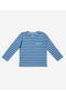  Blue Stripe