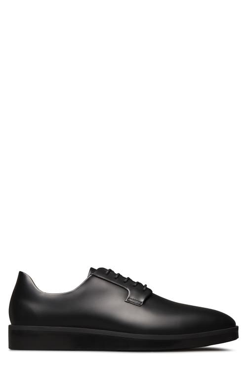 Wolf & Shepherd Closer Derby In Black