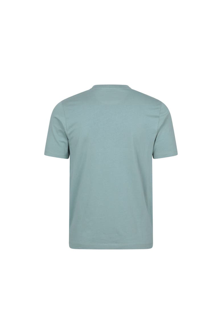 Brighton Short-Sleeved T-Shirt, Alternate, color, Pale Green