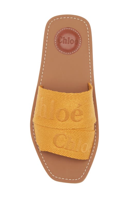 Chloé Slide Sandal In Brown