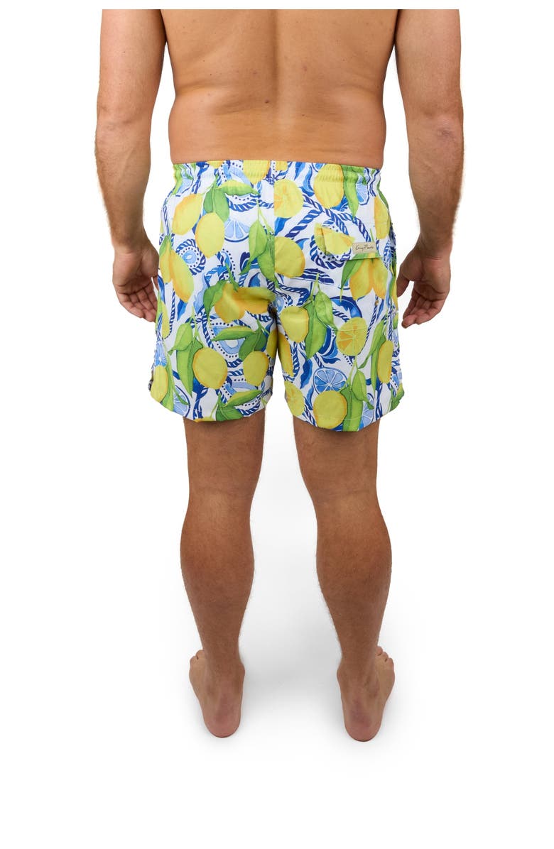 Kenny Flowers The Bossitano - Swim Trunks, Alternate, color, 