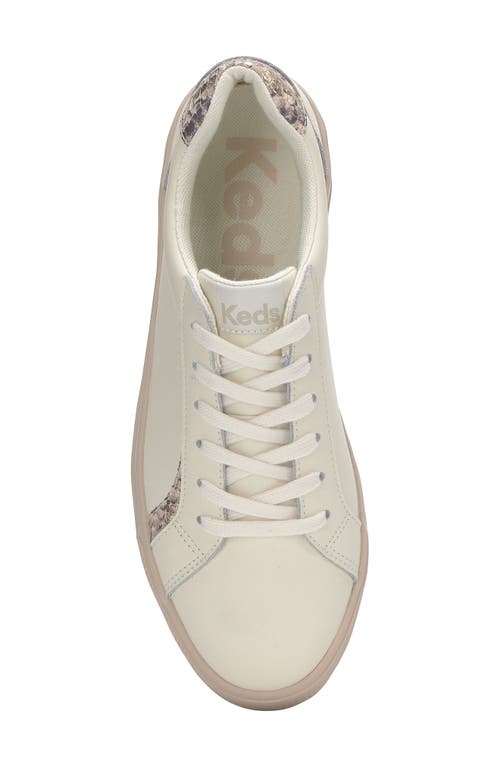 Shop Keds ® Pursuit Sneaker In Egret/brown
