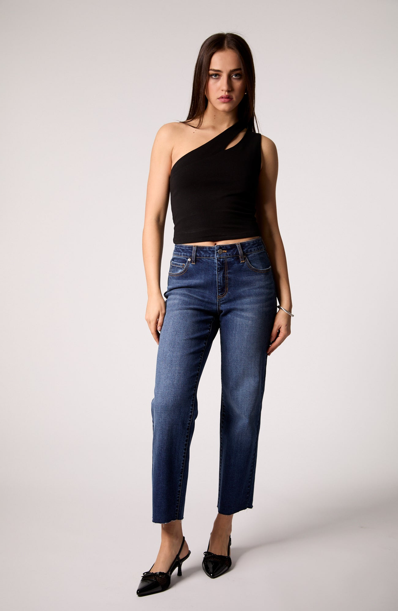 BLUE REVIVAL Quinn Mid Rise Straight Jean, Alternate, color, Marrakesh