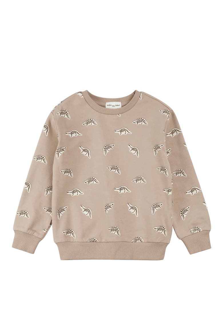 Kids' Dino Fossil Graphic Sweatshirt, Main, color, SAND