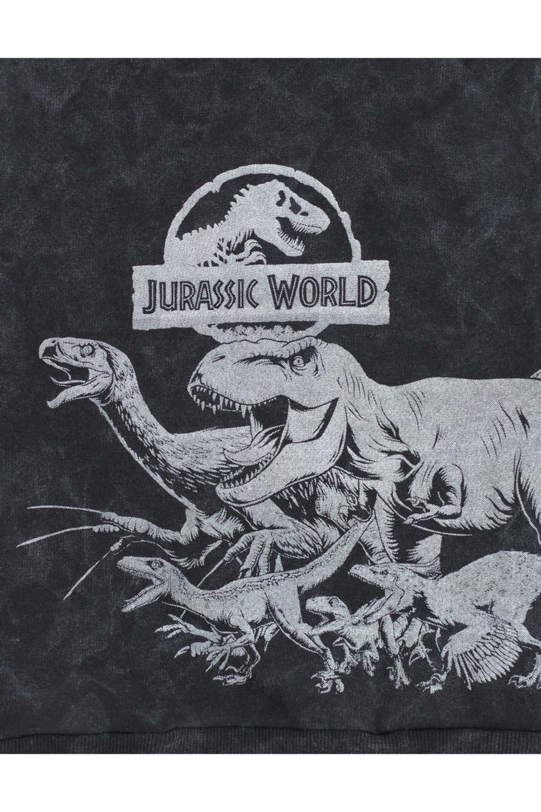 Jurassic Park Fleece Hoodie, Alternate, color, Mineral Wash Grey