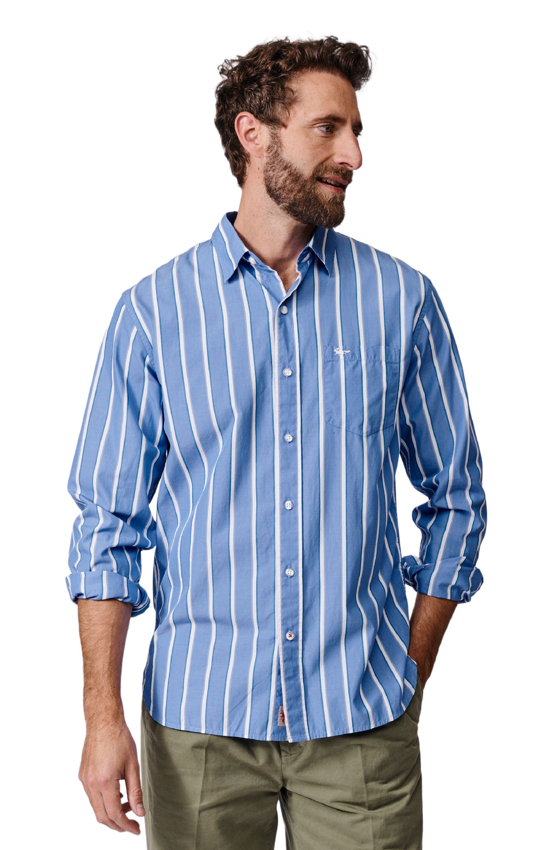 Blue Variegated Stripe