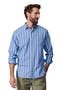  Blue Variegated Stripe