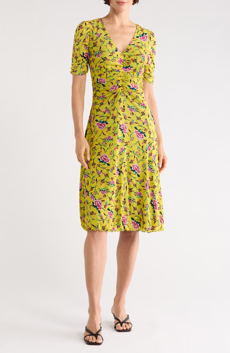 Diane von Furstenberg Koren Ruched Dress, Main, color, Dancing Rose Mix