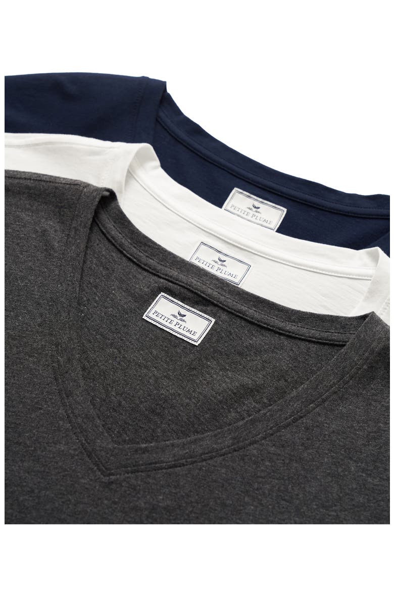 Pima Cotton V-Neck Top, Alternate, color, GREY