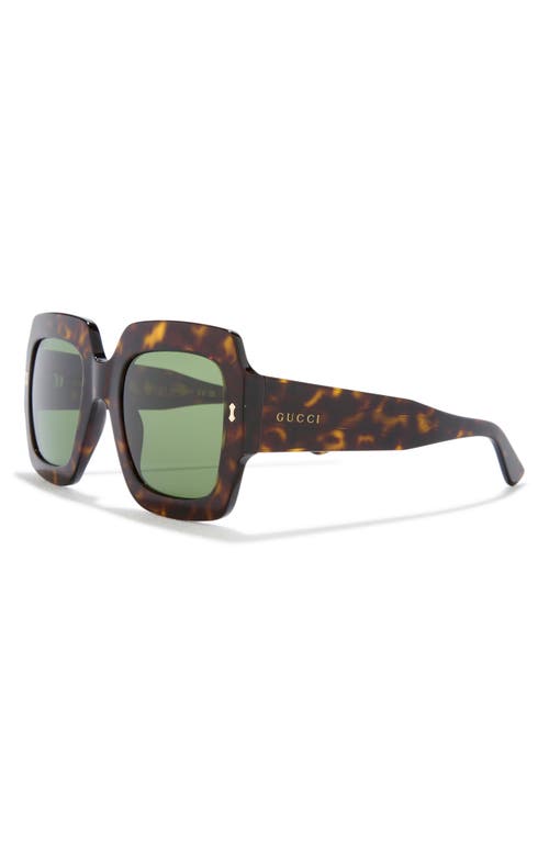 Gucci 53mm Square Sunglasses In Havana Havana Green