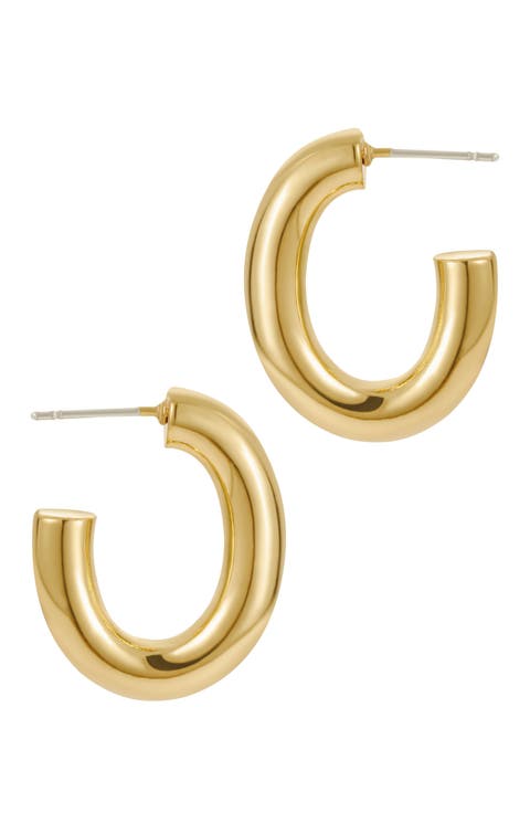 Adia Oval Tube Hoop Earrings