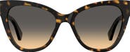 Moschino 54mm Cat Eye Sunglasses