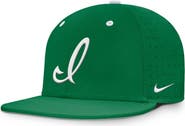 Nike Men's Nike Green Iowa Hawkeyes Dugout True Dri-FIT Fitted Hat