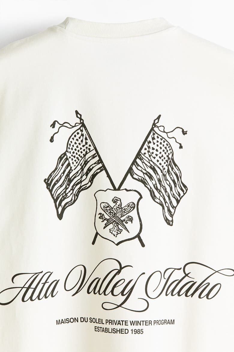 Oversized Boxy Printed Cotton T-Shirt, Alternate, color, White/Alta Valley Idaho