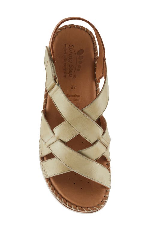 Spring Step Migula Slingback Wedge Sandal In Olive Green