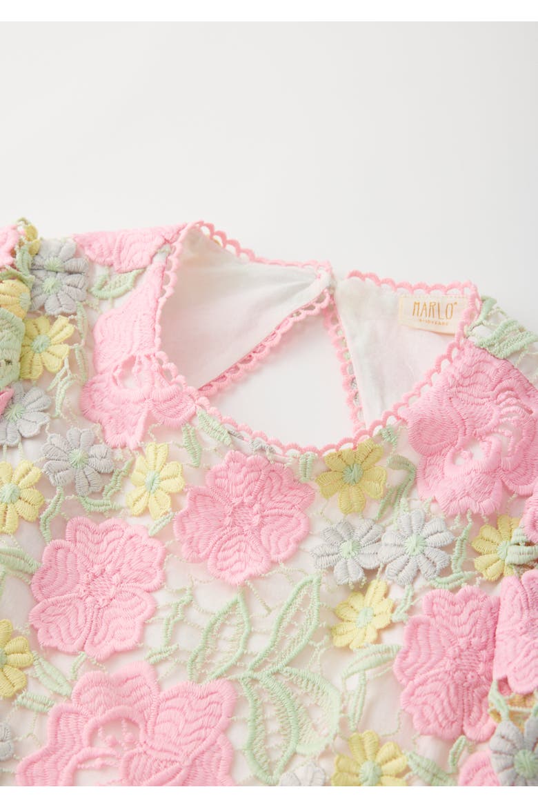 Estella Embroidered Mini Dress, Alternate, color, Floral