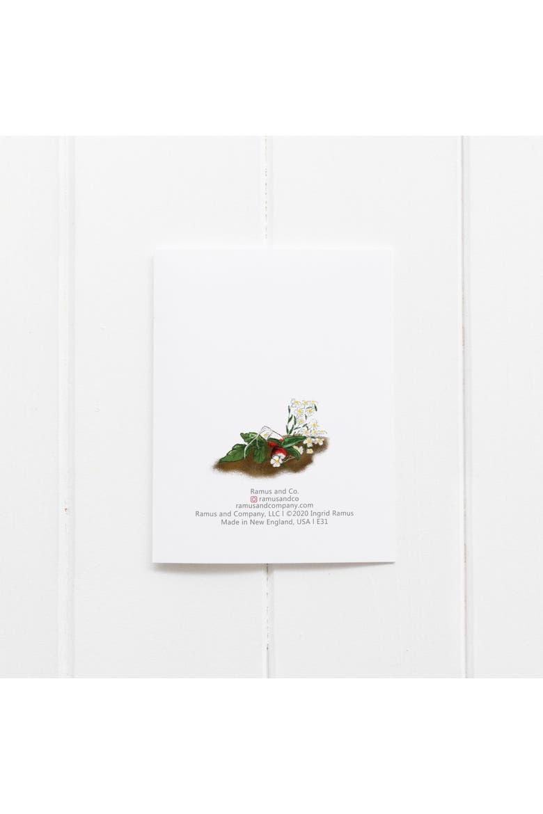 Harvest Girl Greeting Card Pack Set, Alternate, color, Multi-Pack