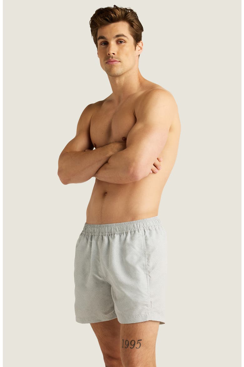 Sebastian Print 4-Inch Nylon Swim Trunks, Alternate, color, FOG/ WHITE MICRO DOT