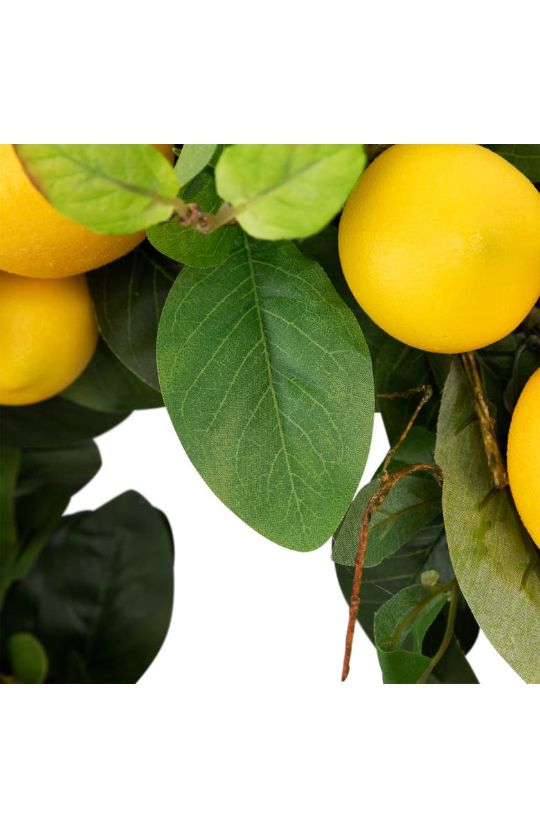 Northlight Lemons and Assorted Foliage Spring Wreath - 20" - Yellow, Alternate, color, Yellow