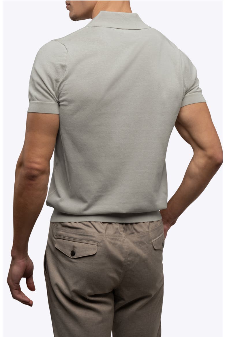 Istanbul Johnny Collar Cotton Bend Polo, Alternate, color, MOURNING DOVE