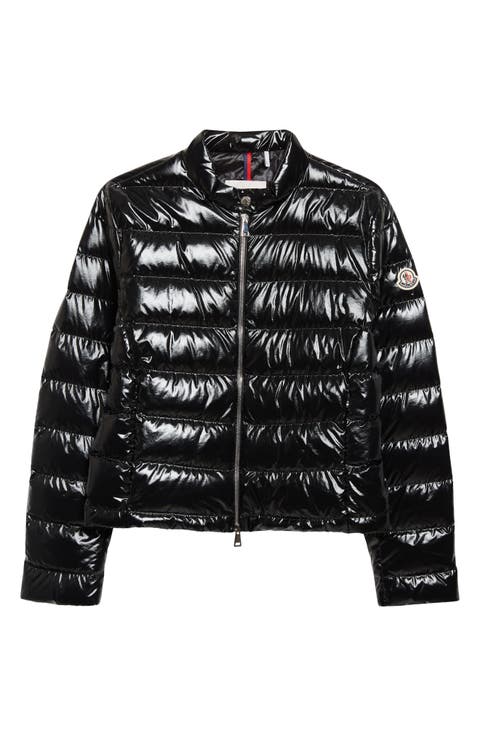Papillon Crop Lacquered Nylon Puffer Jacket