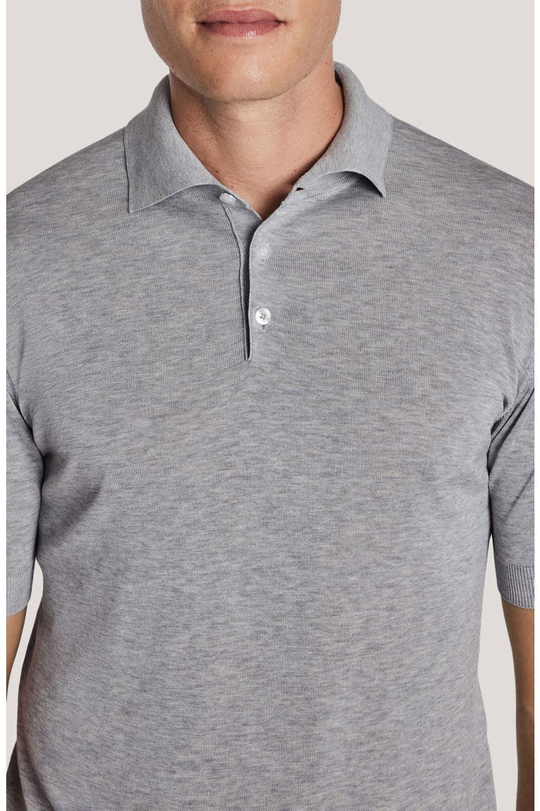 Tupper Organic Cotton & Silk Polo, Alternate, color, LIGHT GREY