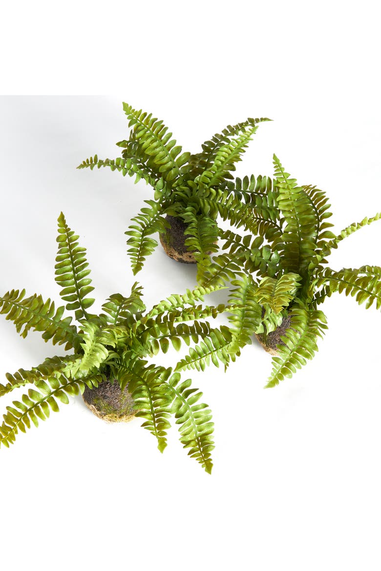 Boston Fern Drop-Ins, Set Of 3, Alternate, color, Green