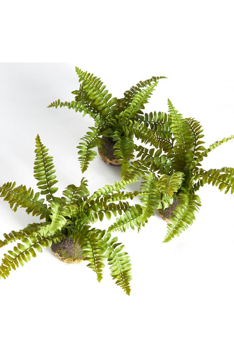 Napa Home & Garden Boston Fern Drop-Ins, Set Of 3, Alternate, color, Green