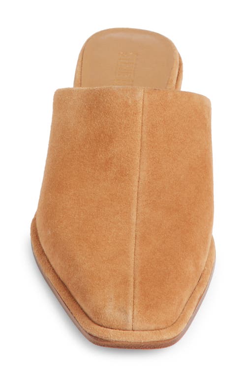 Steve Madden Dessa Mule