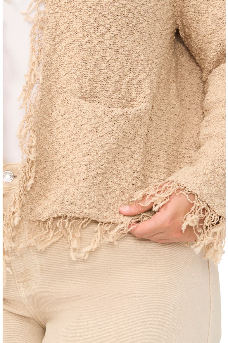 Fringe Detail Crop Jacket, Alternate, color, CAMEL