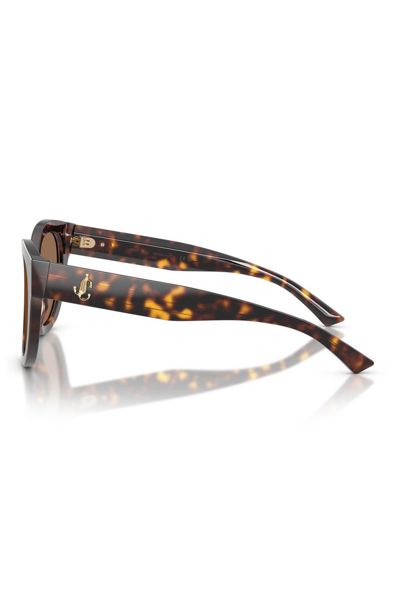 51mm Round Sunglasses, Alternate, color, HAVANA / DARK BROWN